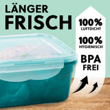 GOURMETmaxx Frischhaltedosen Klick-it 14-tlg. smaragd/transparent mit 4-fach-Klickverschluss und Aromaschutz für lange Frische.