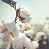 DoYourSports Akupressur-Set XXL Yumanyi mit Akupressurmatte 125x48 cm und Kopfkissen 48x9 cm in Pink für Entspannung