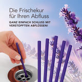 EASYmaxx Abflussreiniger-Stick Lavendel - 50er-Set für saubere, frisch duftende Abflüsse in Waschbecken, Spüle und Dusche.