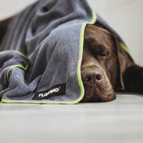 FLUFFINO® Hundehandtuch Mikrofaser – 4er-Pack in Grau & Grün, extra saugfähig und weich, ideal für kleine und mittelgroße Hunde.