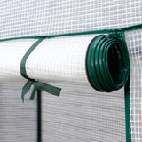 Hoberg Folien-Gewächshaus - 100 x 50 x 158/170 cm mit lichtdurchlässiger PE-Folie und stabilem Aufbau für Jungpflanzen und Tomaten.