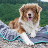 FLUFFINO® Hundedecke/ Wendedecke Kuscheldecke 150x100 cm Grau mit weich-flauschigem Stoff und robustem Cordgewebe.