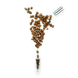 ASTALEA Duft Coffee - 5 ml mit aromatischen Kaffeebohnen, ideal für Raum-Diffusor und Duftstein-Set, wiederbefüllbar und handlich.