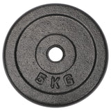 #DoYourFitness Gusseisen Hantelscheiben Gewichtscheiben 5 kg, Bohrung 28/29 mm, graue, robuste Trainingsgewichte aus Gusseisen.