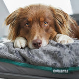 FLUFFINO® Hundedecke/ Wendedecke / Kuscheldecke - 150x100 cm - Grau mit weichem, wendbarem Kuschelstoff, ideal für Hunde jeden Alters und Größe.