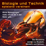 cbionic Flexibles Klemmbaustein-System - 2-in-1 Skorpionschere oder -stachel zeigt flexible Bewegungen wie Muskeln und Bänder der Natur.