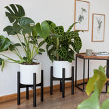 LUMALAND Blumenständer aus Bambus - 30 x 30 x 35,5 cm - 3er-Set mit schwarzen Pflanzentöpfen in modernem Raumambiente.