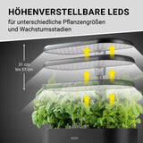 N8WERK Hydroponische Pflanzenanzuchtstation mit Display und höhenverstellbaren LEDs für optimale Keimung und Wachstum verschiedener Pflanzenstadien.