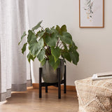 LUMALAND Blumenständer aus Bambus - 30 x 30 x 35,5 cm - 3er-Set als schwarzes Pflanzenregal mit großem Blumentopf im modernen Wohnraum