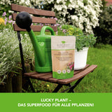 Lucky Plant Pflanzenstärkung Pulver 200 g mit Kräuterextrakten für starkes Pflanzenwachstum und längere Blütezeit, umweltfreundlich.