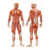 #DoYourFitness Faszienrolle Anila eckig 45x15 cm Pink/Grau für effektives Faszientraining und gezielte Faszienmassage.