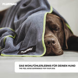 FLUFFINO® Hundehandtuch Mikrofaser – 4er-Pack in Grau & Grün, schnelltrocknend und extra saugfähig für Hunde- und Katzenfell.