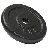 #DoYourFitness Gusseisen Hantelscheiben Gewichtscheiben 5 kg Bohrung 28/29 mm grau, langlebig für Krafttraining und Cross-Training.