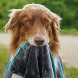 FLUFFINO® Hundedecke/ Wendedecke / Kuscheldecke - 150x100 cm - Grau mit weichem Kuschelstoff und robustem Cordgewebe.