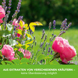 Lucky Plant Pflanzenstärkung Pulver - 200 g zur natürlichen Stärkung von Zier- und Gartenpflanzen mit Kräuterextrakten.