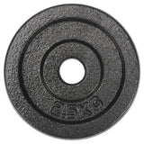 #DoYourFitness Gusseisen Hantelscheiben Gewichtscheiben 2,5 kg grau mit 28/29 mm Bohrung, robust und vielseitig für Krafttraining.