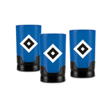 Taste Hero HSV Bier-Aufbereiter für echte Fans, 3er-Set, passend für Glas- und PET-Flaschen, schützt und verbessert den Biergeschmack.