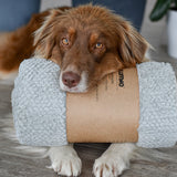 FLUFFINO® Hundedecke/Hundekissen Größe L in grau, weich, flauschig, waschbar und mit rutschfestem Wildlederimitat, für große und kleine Hunde.