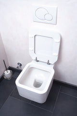 EASYmaxx WC Intensiv-Schaum selbstreinigender Kraftschaum für Toilette, Urinal und Bidet, reinigt gründlich bis unter den Rand.