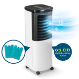 Hoberg Luftkühler mit Peltier-Element in schwarz/weiß, 4 Geschwindigkeitsstufen, inklusive Kühlakkus, geräuscharm 65 dB.