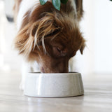 FLUFFINO® Hundenapf / Futternapf Keramik - 800 ml in Grau, handgefertigt, lebensmittelecht, spülmaschinenfest für kleine und mittelgroße Hunde.