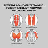 MAXXMEE Rudergerät klappbar + Batterien – Ganzkörpertraining für Bauch-, Oberschenkel-, Gesäß- und Bizepsmuskeln.