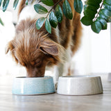FLUFFINO® Hundenapf / Futternapf Keramik - 800 ml in Blau, lebensmittelecht, handgefertigt, spülmaschinenfest, ideal für kleine und mittelgroße Hunde.