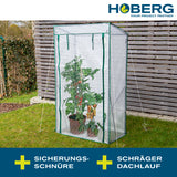 Hoberg Folien-Gewächshaus - 100 x 50 x 158/170 cm mit stabilem Rahmen, Reißverschluss und lichtdurchlässiger PE-Folie für Jungpflanzen und Tomaten.