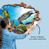 MAXXMEE Wandtattoo 3D "Meeresleben" zeigt Meeresschildkröte und bunte Fische mit 3D-Effekt, selbsthaftend für glatte Oberflächen.