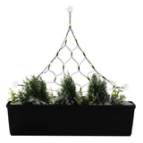 CHRISTmaxx LED-Lichterbaum 58 cm mit 21 warm-weißen LEDs, Batteriebetrieb und Saugnäpfen zur Fensterbefestigung.