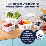 GOURMETmaxx Frischhaltedosen für Kühlschrank mit Abtropfsieb, luftdicht, auslaufsicher und mit praktischem Abtropfkorb für aromafrische Lebensmittel.