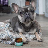 FLUFFINO® Pfotenbalsam - 50 ml natürlicher Pfotenschutz für Hunde mit Propolis, Bienenwachs und Bio-Ölen, schützt vor Kälte und Hitze.