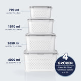 GOURMETmaxx Frischhaltedosen für Kühlschrank mit Abtropfsieb, 4 Größen, luftdicht, auslaufsicher, ideal für Obst und Gemüse.