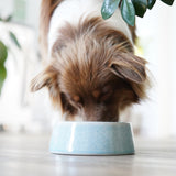 FLUFFINO® Hundenapf / Futternapf Keramik - 800 ml - lebensmittelecht, handgefertigt, blau, für kleine und mittelgroße Hunde.