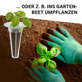 N8WERK Pflanzenanzuchtstation Ersatzset für 28 Pflanzen mit Pflanzschwämmen und Samentöpfen zum Umtopfen ins Gartenbeet.
