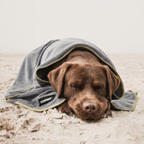 FLUFFINO® Hundehandtuch Mikrofaser – 2er-Pack Grau & Grün, schnell trocknend, extra saugfähig, ideal für kleine und mittelgroße Hunde.