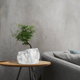 Botanyia Pflanzenübertopf "Marmor" für 12 cm Ø Töpfe mit Naturstein-Optik und Magnet-Klick-Verschluss, Bonsai-Pflanze dekorativ platziert.