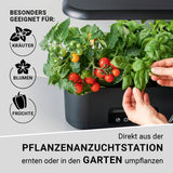N8WERK Hydroponische Pflanzenanzuchtstation mit Display zeigt Kräuter, Blumen und Früchte im Indoor Garten.