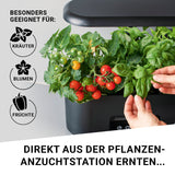 N8WERK Pflanzenanzuchtstation Ersatzset für 28 Pflanzen, geeignet für Kräuter, Blumen und Früchte direkt aus der Anzuchtstation ernten.