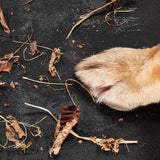 FLUFFINO® Kofferraumschutz für Hund inkl. Seiten- & Ladekantenschutz in dunkelgrau schützt vor Schmutz, Nässe und Tierhaaren im Kofferraum.