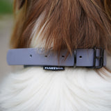FLUFFINO® Hundehalsband aus BioThane Größe M in Grau am Hundehals, verstellbar und wasserfest, veganer Lederersatz.