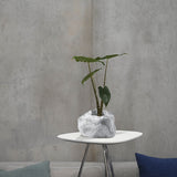 Botanyia Pflanzenübertopf "Marmor" für 12 cm Ø Töpfe in edler Naturstein-Optik mit stabilem Stand und Schutz-Abdeckung.