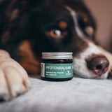 FLUFFINO® Pfotenbalsam - 50 ml natürlicher Pfotenschutz mit Bienenwachs, Propolis und Bio-Jojobaöl für Hunde.