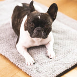 FLUFFINO® Hundedecke/Hundekissen - Wildlederimitat - Größe S grau mit kleinem Hund als weicher, warmer Schlafplatz.