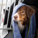 FLUFFINO® Hundehandtuch Mikrofaser – 2er-Pack 90x50 cm Grau & Grün, saugfähig, schnell trocknend, weich, handlich für kleine und mittlere Hunde.