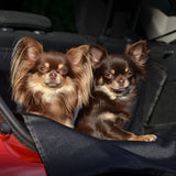 FLUFFINO® Kofferraumschutz für Hund inkl. Seiten- & Ladekantenschutz dunkelgrau mit zwei Hunden im Auto, wasserfest und kratzfest.