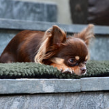 FLUFFINO® Hundedecke/Hundekissen Wildlederimitat Größe S grün mit weichem Flausch für kleine Hunde wie Chihuahua, warm und isolierend.