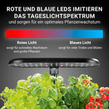 N8WERK Hydroponische Pflanzenanzuchtstation mit Display zeigt rote und blaue LEDs für optimales Wachstum und Tageslichtspektrum.