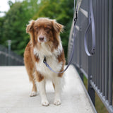 FLUFFINO® BioThane Hundeleine - 3-Fach verstellbar, 220 cm, grau, reißfest, wasserabweisend, veganer Lederersatz, für alle Hundgrößen.
