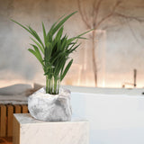 Botanyia Pflanzenübertopf "Marmor" für 12 cm Ø Töpfe, Naturstein-Optik, stabiler Stand, Schutzabdeckung, Magnet-Klick-Verschluss